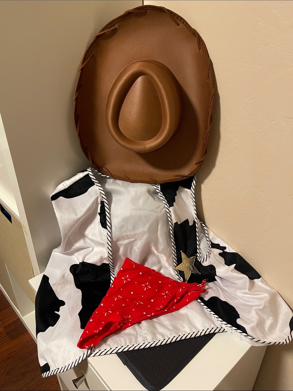 Toy Story- Woody costume for Male